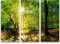 Paul Sinus Art Leinwandbilder | Bilder Leinwand 130x90cm Wald im Sonnenschein