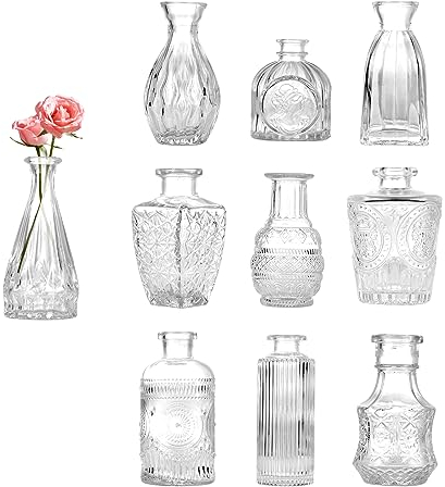 Czemo Kleine Glasvasen für Tischdeko Mini Vasen Set 10 Stück Glas Vasen Blumenvase modern Tischvasen Hochzeit kleine Vase Dekogläser für Trockenblumen Glasfläschchen Deko Flaschen