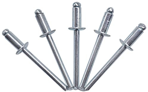 (100 Stück) Blindnieten 4,8 x 10 mm, offener Kuppelkopf, Popnieten, DIN 7337, Stahlniete und Stahldorn (100, 4,8 x 10 mm)