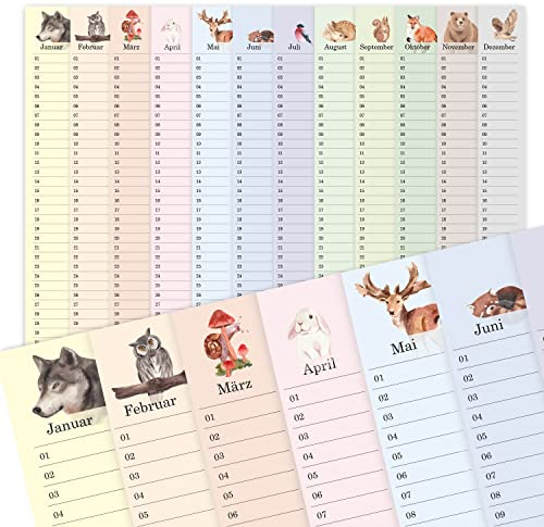 Geburtstagskalender für Kinder I DIN A3 I Wandkalender immerwährend I jahresunabhängig bunt mit Wald Motiv Kindergarten Grundschule Kita - dv1161