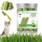 Cat Grass Sticks for Indoor Cats, Cat Grass Teething Stick, Cat Catnip Chew Sticks, Natural Cat Grass Sticks Molar Rod for Hairball Removal (10PCS)