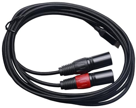 WIYETY Cable USB C a XLR dual, 2 m, conector tipo C macho a salida XLR, conector dual compatible con PC, smartphone, tableta, amplificador de potencia, cable de audio