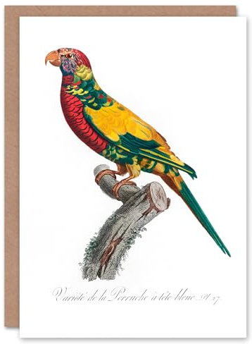 Artery8 Francois Levaillant Art Card The Rainbow Lorikeet Parrot
