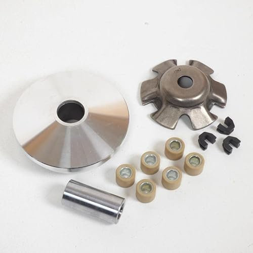 Variateur Teknix compatible avec scooter Peugeot 125 Sum Up 6 galets Ø18xL14mm 13g