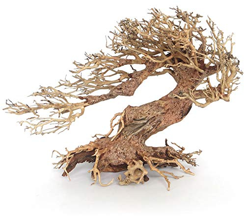 Amtra - Oriental Wind 3 Holz, handgefertigt, für Aquarien, 30X13X23 cm