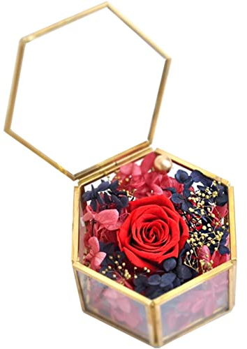 shajiahao Boîte À Bijoux en Verre Transparent, Boîte de Terrarium Géométrique Coffret de Bague de Mariage,2.95 * 2.95 * 1.77