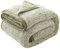 EMME Sherpa-Decke, Queen-Size-Größe, ultraweiche, warme Bettdecke, Mikrofaser, gemütliche Decke für Bett, Sofa, leicht, flauschig, Dicke, wendbar, Couchdecke, Salbei, 152,4 x 203,2 cm