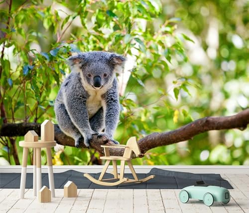 Papier Peint Panoramique Koala gris 3D sur branche, 120x80cm Grande Mural, pour Salon, Chambre d'enfant, Chambre Décoration Poster Papier Peint