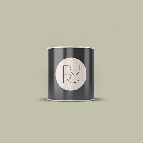 BRICOFLOR Wandfarbe salbeigrün ideal für Wohnzimmer und Schlafzimmer Design Farbe für Innen in 1, 2,5 und 5 l hoch deckend