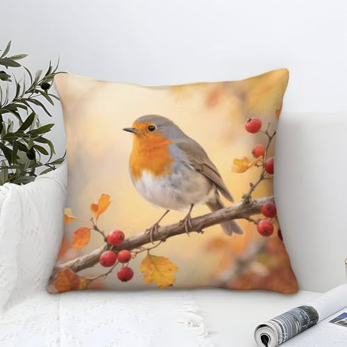 YYVKPMLXC Kissenbezüge Rotkehlchen Modern-Abstract Muster,Herbstliche ländliche Szene Quadratisch Kissen Bezüge Weicher Polyester Dekokissen Kissenhülle Für Garten Outdoor Wohnzimmer Sofa 40x40cm
