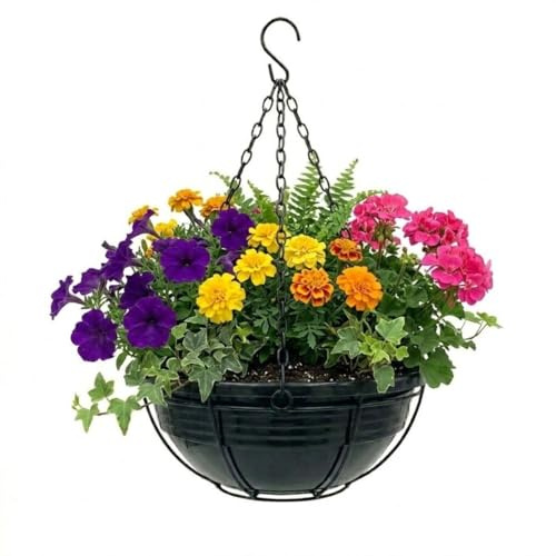 Plastard Blumenampel Ø 40 cm mit Metallkorb Anthrazit Blumenschale hängend | Witterungs- UV & frostbeständig Pflanzkübel, hochwertiger Metallhalterung & Haken schwarz lackiert, 40x14 cm Pflanzenschale