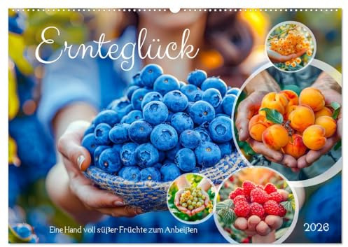 Ernteglück - Eine handvoll süßer Früchte zum Anbeißen (Wandkalender 2026 DIN A2 quer), CALVENDO Monatskalender: Ein Fest der Aromen, Farben und ... ihre Schätze preisgeben (CALVENDO Lifestyle)