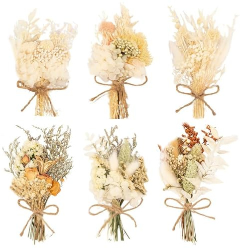 Tgsedr 6 Bündel Trockenblumen Klein Trockenblumenstrauß Getrocknete Blumen Trockenblumen Zum Basteln für Bilderrahmen Hochzeitsdekoration Party Home Vase Dekor DIY Handwerk