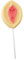 Lutscher mit witzigen Motiven aus Zucker oder Schokolade - Scherzartikel JGA Fun Lollipop Penis Lolli Vagina Lolly (Vagina)