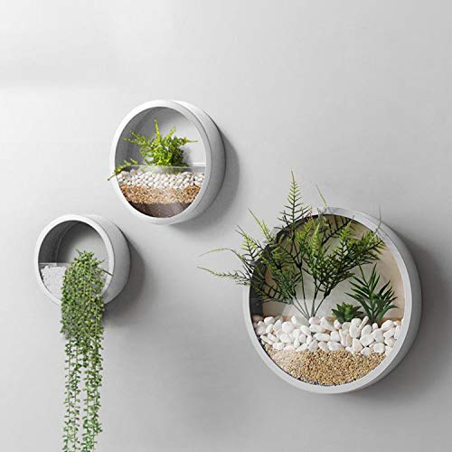 VEVLU 3 Pack Set Wall Planters,Modern Round Glass Wall Planter Succulent Planter Circle Iron Hanging Planter Vase for Herb,Small Cactus Perfect for Balcony, Room and Patio Decor (White)