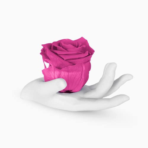 Albalù Mano in Resina con Rosa Stabilizzata Fucsia 14x7x8 cm - Fiore Eterno Fatto a Mano Made in Italy