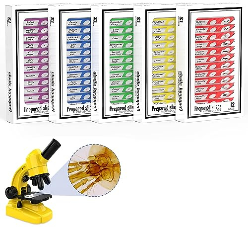 Ninyoon 60pcs Microscope Slides with Specimens for Kids – Kids Prepared Microscope Slides with Animals, Insects, Plants, Flowers Specimens