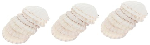 Kisangel 30 Pièces Coquille Naturelle Ornement Kitchen Tab décoration de Coquille Coquillages pour l'artisanat Plaque de Coquillage Naturel Plateau de pétoncles Nourriture Coquille d'huître