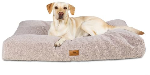 FREUDENTIER Orthopädisches Hundekissen aus Teddy - Waschbar, Oeko-TEX Zertifiziert - Hundebett/Hundekorb rutschfest - Für kleine, mittelgroße & große Hunde (Greige, 100x70cm)
