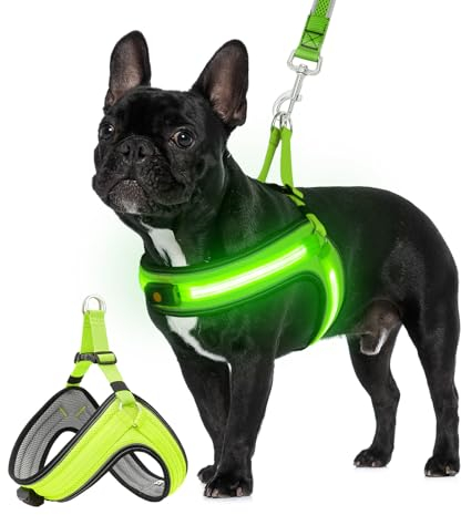 BiPawTi LED Brustgeschirr Hund Klein, Leuchtendes Hundegeschirr Kleine Hunde mit 3 Beleuchtungsmodi, Aufladbar, Leuchtet Im Dunkeln, Sicherheit Geschirr fürs Draußen/Camping mit Hund, Grün(Grünlicht)