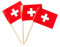 Schweizer Flagge, kleine Mini-Zahnstocherflaggen für Lebensmittel, Cupcakes, Cocktails, Vorspeisen, Bar-Party-Dekorationen