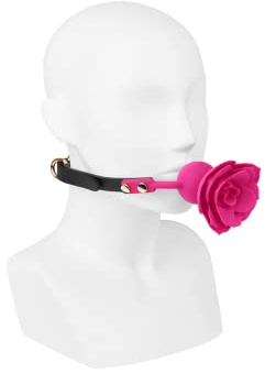 EIS Knebel | Mundknebel im Rosendesign | Sex-Spielzeug für Paare Extrem Sex | sexy Nieten | Erotik | Sex Toys | Ideal für Paare | Verstellbar
