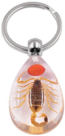 BHUEHSS Porte-clés de voiture en résine Scorpion Ambre Pendentif Auto Pendentif Sac à main Portefeuille D#, as shown in the picture, Résine