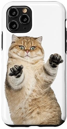 Cute Fluffy Cat Case for iPhone 11 Pro