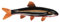 JOINPAYA Schafgarbenfisch Spielzeug Aquarium Display Gadget Ausgestopftes Fischspielzeug Lebensechte Fischfigur Aquarium Zubehör Tischzubehör Detailliertes Fischmodell Künstliches