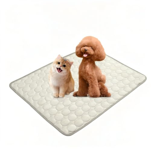 Chumix Hundedecke Waschbare, für Hunde und Katzen, Grau, 60x50cm | Weiche, bequeme Hundematte und Katzenmatte, ungiftig & geruchsneutral, für Zuhause, Auto und Reisen – ganzjährig einsetzbar