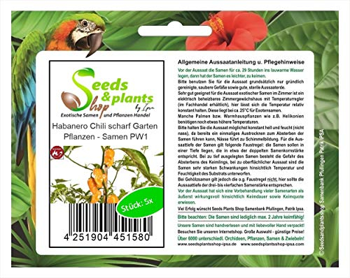 Stk - 5x Habanero Chili scharf Garten Pflanzen - Samen PW1 - Seeds & Plants Shop by Ipsa