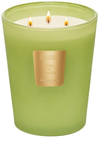 M&SENSE Basilikum-Ingwer Duftkerze groß mit 3 Dochte Sojawachskerze XL mit sauberer Verbrennung 150 Stunden langer Brennzeit Eukalyptus Duftkerze im Glas Geschenk für männer