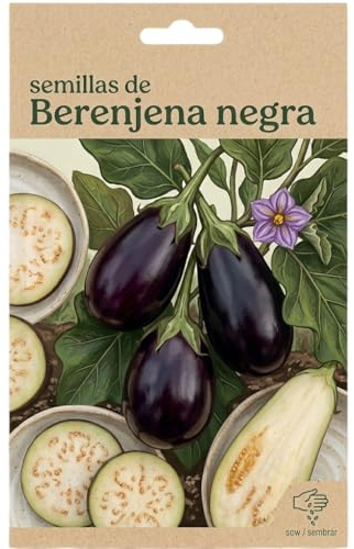 Semillas de Berenjena Oscura DECOALIVE para Terraza o Balcón con Uso en Cocina Tradicional