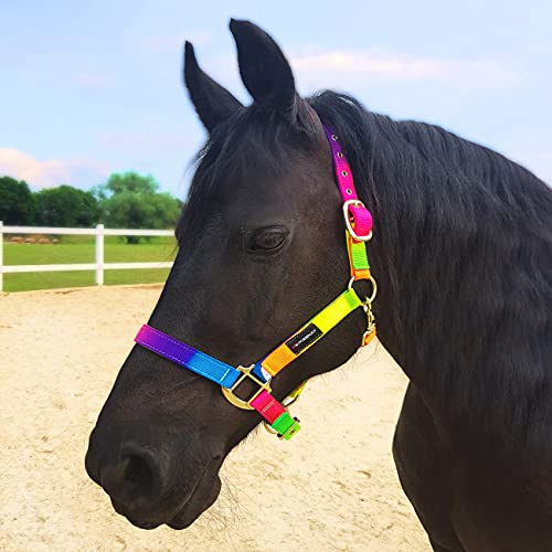 Horsenjoy Halfter Nylonnhalfter Stallhalfter Weidehalfter Pferdehalfter Tropical Heat Pony