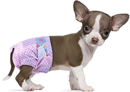 Flying Paws Einwegwindeln für Hunde, geeignet für Hunde und Katzen, verstellbare Einwegwindeln von 10–40 Stück (XXS-40 Stück)