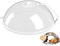TQHSIN Cloche en Verre Micro Onde,Cloche Micro Onde Verre, Couvercle Anti-éclaboussures pour Bol avec poignée, Trous de Vapeur réglables, Couvercle Parfait pour Les Petits et Grands Micro-Onde