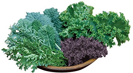 Burpee Kale Blend Kale Seeds 100 seeds