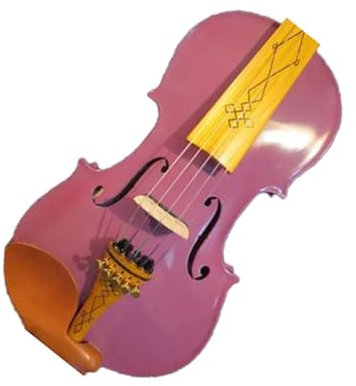 Violon électrique violet 5 cordes 4/4 + violon acoustique touche et cordier magnifiquement sculptés Débutant Violin Set