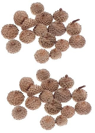 ABOOFAN 80 Stück Rattan Kappen Natürliche Mützen Für Selbstgemacht Schmuck Kranzdekoration Tischdeko Kappen Echte Tannenzapfenkappen