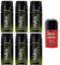Vetyver Herren Deo Spray mit Duft von Vetiver 150 ml (6 Stück) by dambiro mit Zusatzartikel