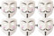 Ciao Mask Anonymous Vendetta Guy Fawkes (Pack of 6)