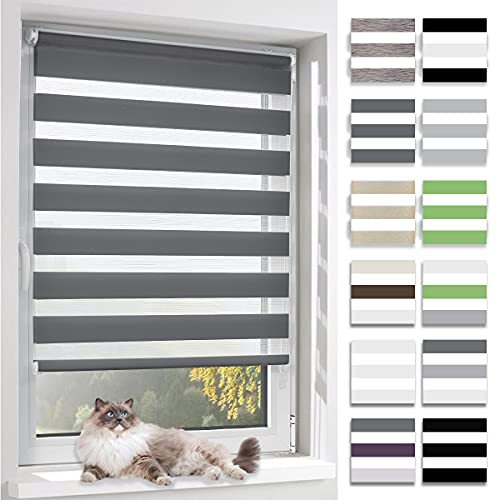 BelleMax Doppelrollo Klemmfix ohne Bohren & mit Bohren, 60x120cm(BxH), Dunkelgrau, Duo Rollo, Sonnenschutz lichtdurchlässig Blickdicht, Klemmrollo Fensterrollo, Rollos für Fenster und Tür