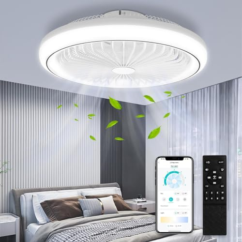 papasbox Deckenleuchte mit Ventilator 47cm | 3 Farbtemperatur 6 Geschwindigkeiten 65W LED Deckenventilator mit Beleuchtung Lampe | Deckenlampe Fernbedienung Dimmbar für Wohnzimmer Schlafzimmer