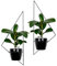 SEELLOO Wandvase Hängende Blumentöpfe Metall Blumentopf für Wand Innen Außen Wanddeko Gartendeko Blumenhalter, Set mit 2 dreieckigen Blumenständern Schwarz