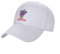 Basecap 70er Jahre Cartoon Grape Ape Riesengorilla auf Van mit seinem Hundekumpel Beegle Beagle am Steuer Baseball Cap