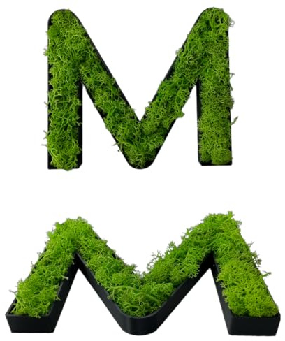 Moos 3D Buchstaben, Dekorative Mooslettern, Grün, Einzelbuchstaben