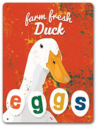 HomDeo Blechschild, personalisierbar, Bauernhof, frische Enteneier, Vintage, 12 x 16 cm, Wanddekoration, Metallschilder