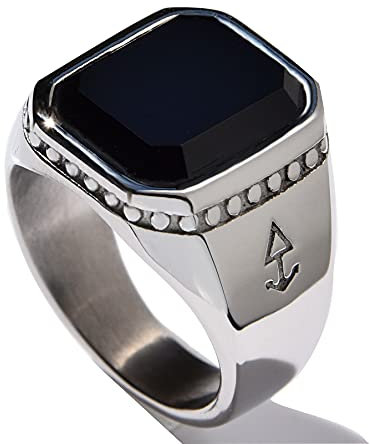 Rock and Steel Herren Ring Siegelring mit Onyx Stein, Edelstahl (Silber, 69 (22.0 mm))