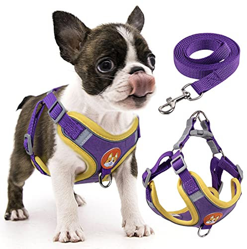 Rennaio Harnais Anti-tir pour Chien, Réglable avec 2 Clips de Laisse, Réfléchissant pour Chiot de Petite et Moyenne Taille (Violet, S)