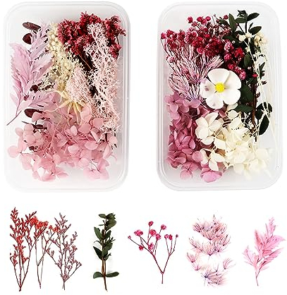 MUYAPAY Natürliche Getrocknete Blumen,2 Boxen Trockenblumen zum Basteln,Getrocknete,Getrocknete Blumen,Getrocknete Blumen für Kunst Basteln DIY Harz Scrapbooking Handwerk Karten Machen(Rose Rot)